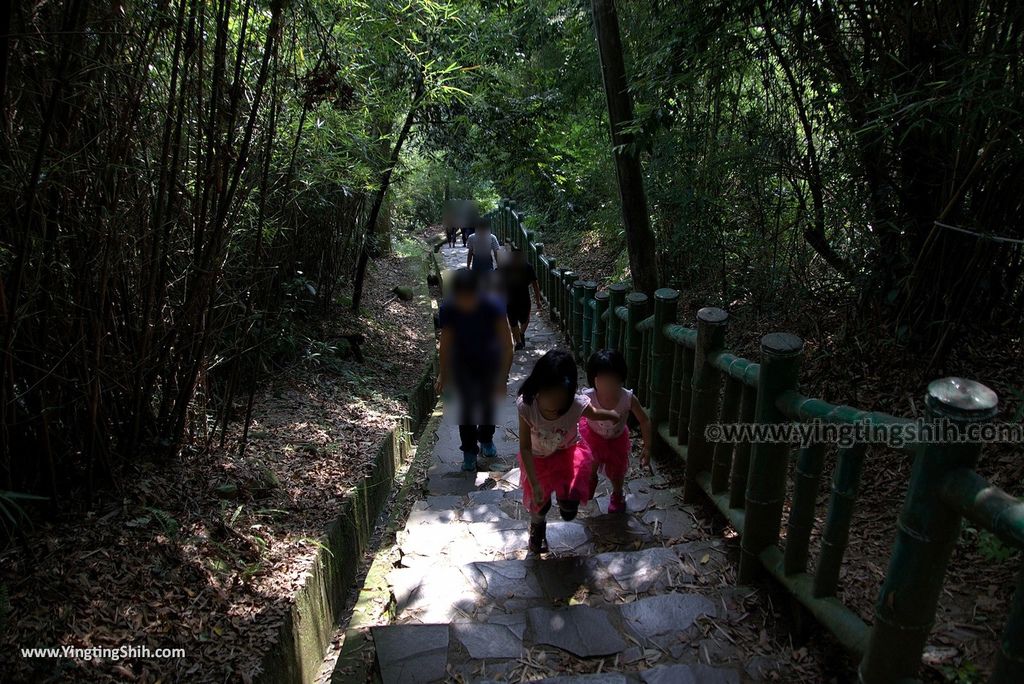 M_M_20180513_新竹芎林飛鳳山步道／觀日坪／代勸堂／修心宮／雲谷寺097_3A5A7437.jpg