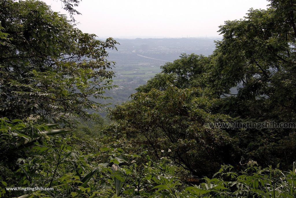 M_M_20180513_新竹芎林飛鳳山步道／觀日坪／代勸堂／修心宮／雲谷寺104_3A5A7475.jpg