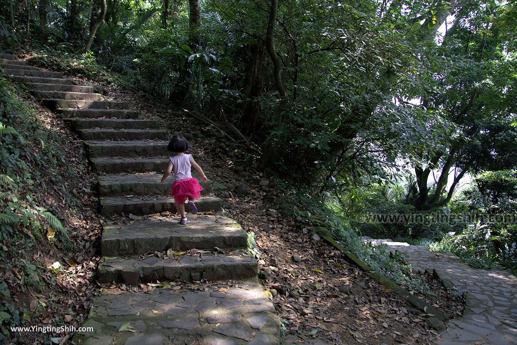 M_M_20180513_新竹芎林飛鳳山步道／觀日坪／代勸堂／修心宮／雲谷寺111_3A5A7528.jpg