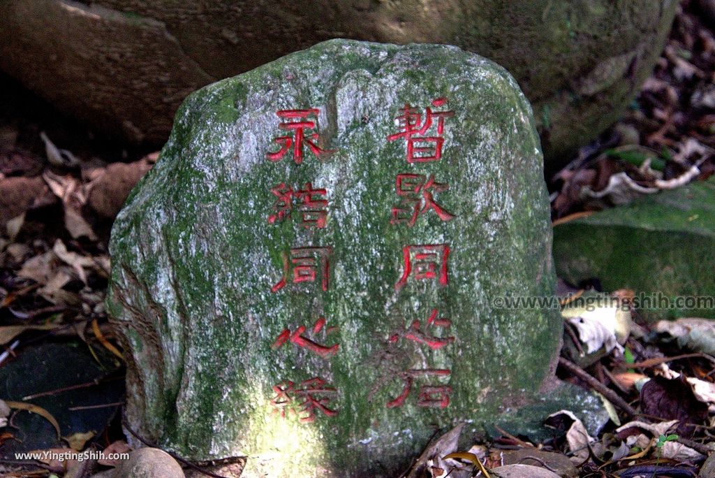 M_M_20180513_新竹芎林飛鳳山步道／觀日坪／代勸堂／修心宮／雲谷寺116_3A5A7722.jpg