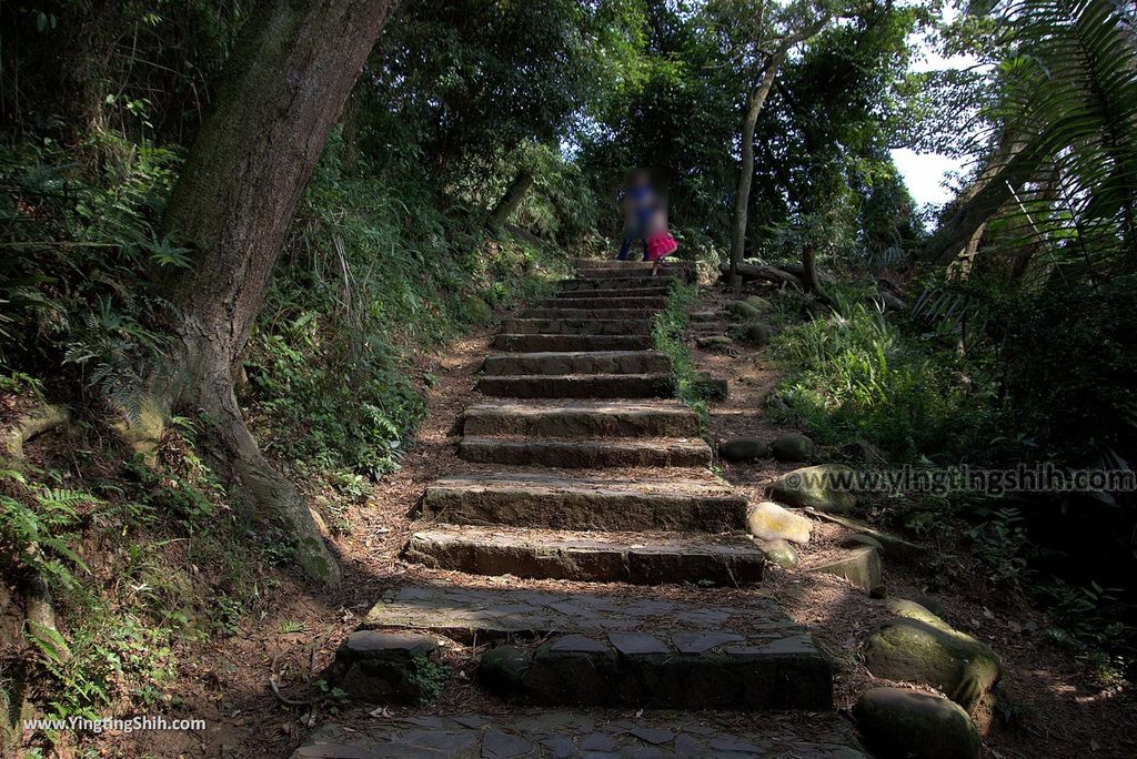 M_M_20180513_新竹芎林飛鳳山步道／觀日坪／代勸堂／修心宮／雲谷寺117_3A5A7735.jpg