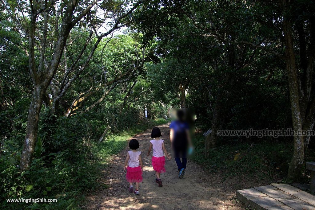 M_M_20180513_新竹芎林飛鳳山步道／觀日坪／代勸堂／修心宮／雲谷寺143_3A5A7985.jpg