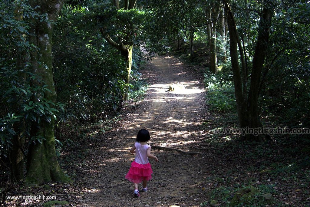 M_M_20180513_新竹芎林飛鳳山步道／觀日坪／代勸堂／修心宮／雲谷寺150_3A5A8105.jpg