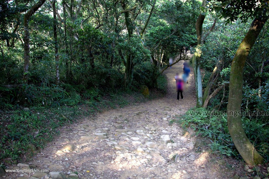 M_M_20180513_新竹芎林飛鳳山步道／觀日坪／代勸堂／修心宮／雲谷寺175_3A5A8343.jpg