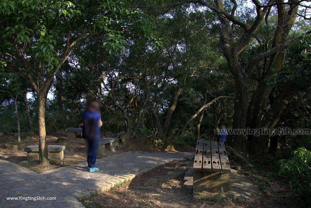 M_M_20180513_新竹芎林飛鳳山步道／觀日坪／代勸堂／修心宮／雲谷寺198_3A5A8459.jpg