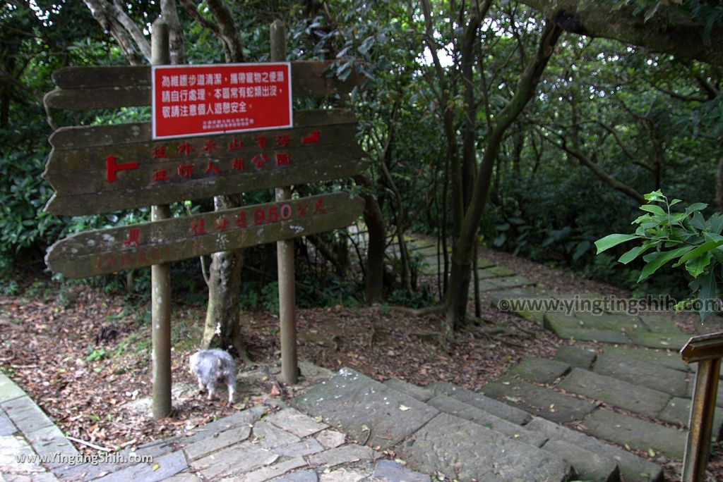 M_M_20180421_基隆安樂情人湖公園／老火車頭／吊橋／情人塔／老鷹岩／環湖環山步道046_3A5A8821.jpg