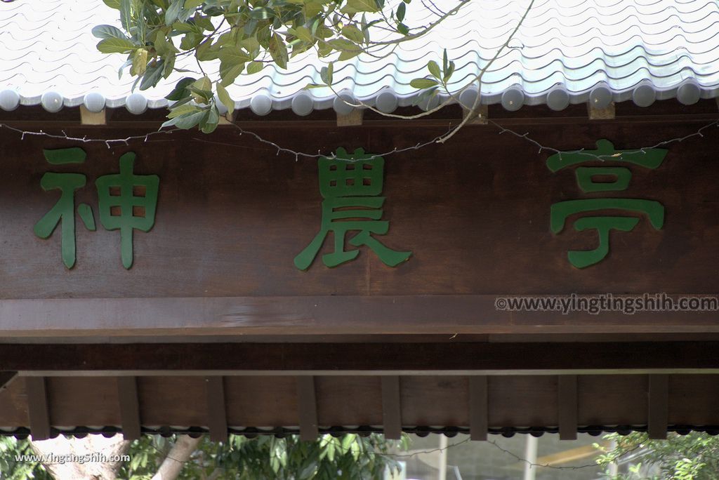 M_M_20180131_台東卑南台東原生應用植物園／親子牧場／中央觀景棧道／養生餐廳061_3A5A9244.jpg