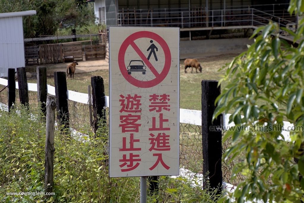 M_M_20180131_台東卑南台東原生應用植物園／親子牧場／中央觀景棧道／養生餐廳072_3A5A9220.jpg