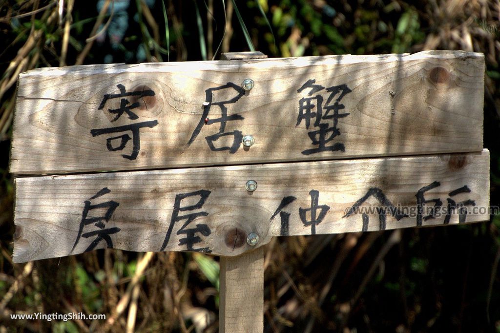 M_M_20180213_屏東滿州港口吊橋／濕地公園／划獨木舟／衝浪／海墘大橋055_3A5A0492.jpg