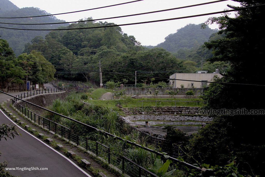 M_M_20180616_新竹橫山豐鄉瀑布／糯米橋／百年伯公065_3A5A5996.jpg