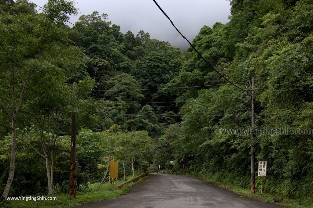 M_M_20180618_新竹關西馬武督探索森林／虹橋、馬武督瀑布／元氣、楊梅、竹林、楓林步道005_3A5A9569.jpg