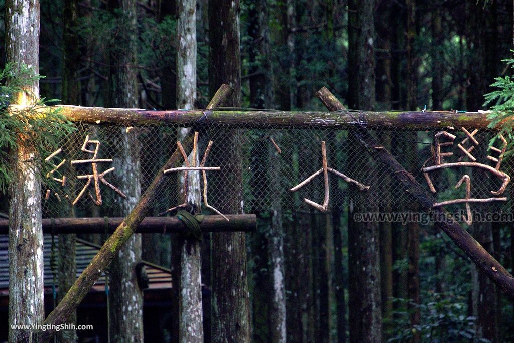 M_M_20180618_新竹關西馬武督探索森林／虹橋、馬武督瀑布／元氣、楊梅、竹林、楓林步道034_3A5A9926.jpg