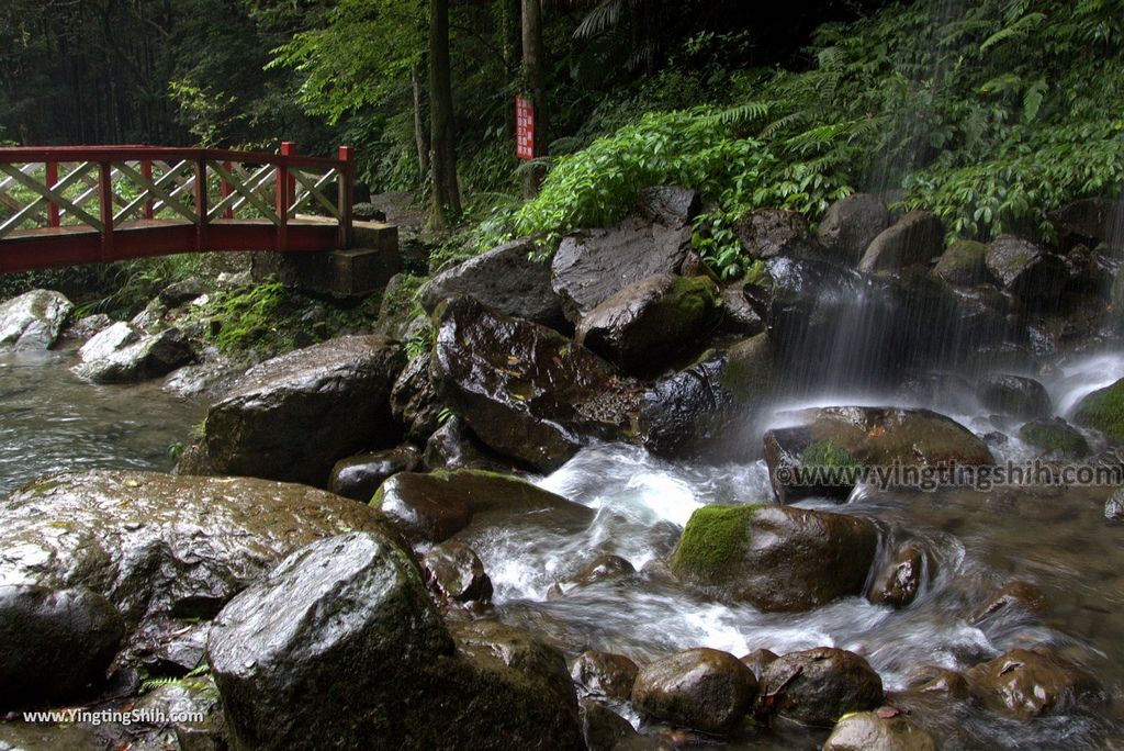 M_M_20180618_新竹關西馬武督探索森林／虹橋、馬武督瀑布／元氣、楊梅、竹林、楓林步道094_3A5A1288.jpg