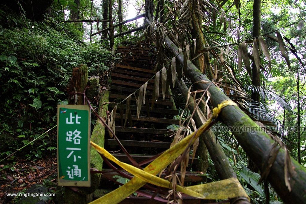 M_M_20180618_新竹關西馬武督探索森林／虹橋、馬武督瀑布／元氣、楊梅、竹林、楓林步道097_3A5A1550.jpg