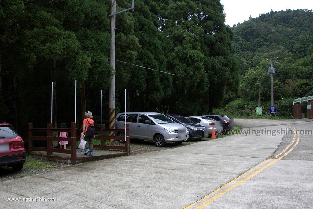 M_M_20180618_新竹關西馬武督探索森林／虹橋、馬武督瀑布／元氣、楊梅、竹林、楓林步道194_3A5A3308.jpg