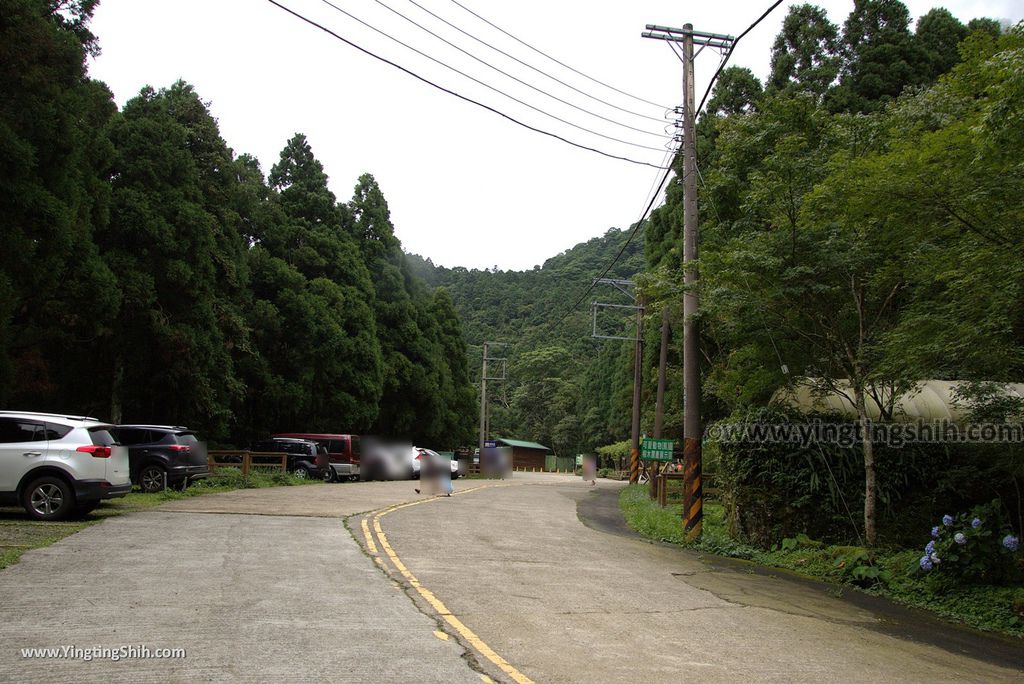 M_M_20180618_新竹關西馬武督探索森林／虹橋、馬武督瀑布／元氣、楊梅、竹林、楓林步道210_3A5A3468.jpg