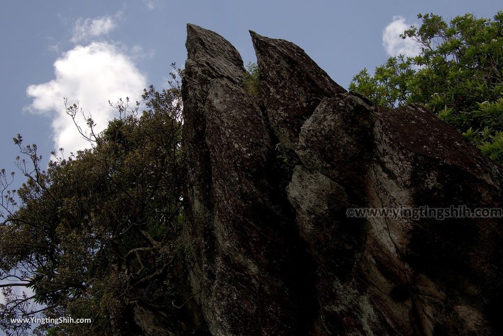 YTS_YTS_20180702_宜蘭頭城北關海潮公園／古砲／一線天／豆腐岩／單面山152_3A5A6812.jpg