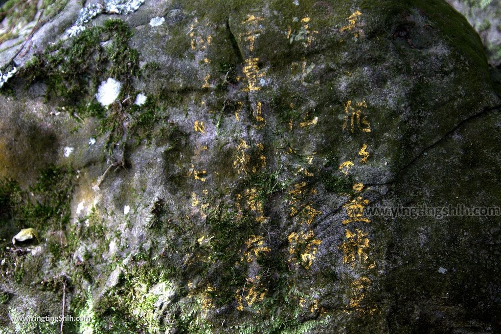 YTS_YTS_20180706_新北五股出火號／牛港稜步道／觀音山遊客中心143_3A5A0947.jpg