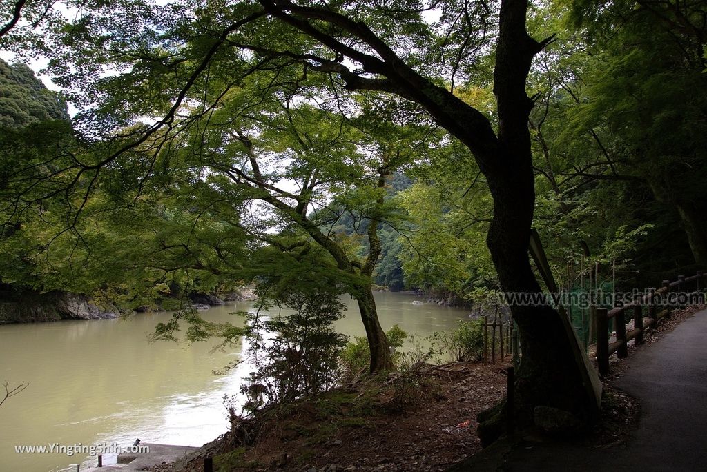 YTS_YTS_20180712_Japan Tyoko Arashiyama Daihikakuzan Senkoji Temple 日本京都嵐山千光寺040_3A5A2671.jpg