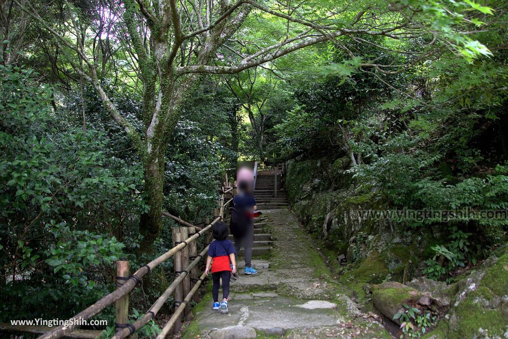 YTS_YTS_20180712_Japan Tyoko Arashiyama Daihikakuzan Senkoji Temple 日本京都嵐山千光寺071_3A5A2069.jpg