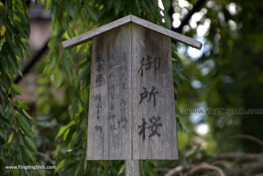 YTS_YTS_20180713_Japan Kyoto Kamigamo-jinja 日本京都上賀茂神社（賀茂別雷神社）／世界文化遺產／舞殿／陰陽石015_3A5A5956.jpg