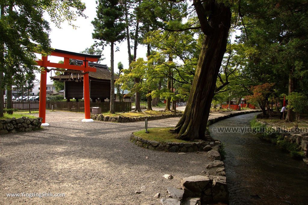 YTS_YTS_20180713_Japan Kyoto Kamigamo-jinja 日本京都上賀茂神社（賀茂別雷神社）／世界文化遺產／舞殿／陰陽石029_3A5A5994.jpg