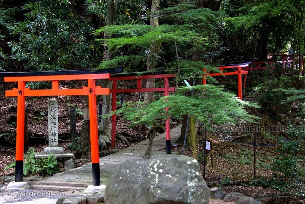 YTS_YTS_20180713_Japan Kyoto Kamigamo-jinja 日本京都上賀茂神社（賀茂別雷神社）／世界文化遺產／舞殿／陰陽石052_3A5A6186.jpg