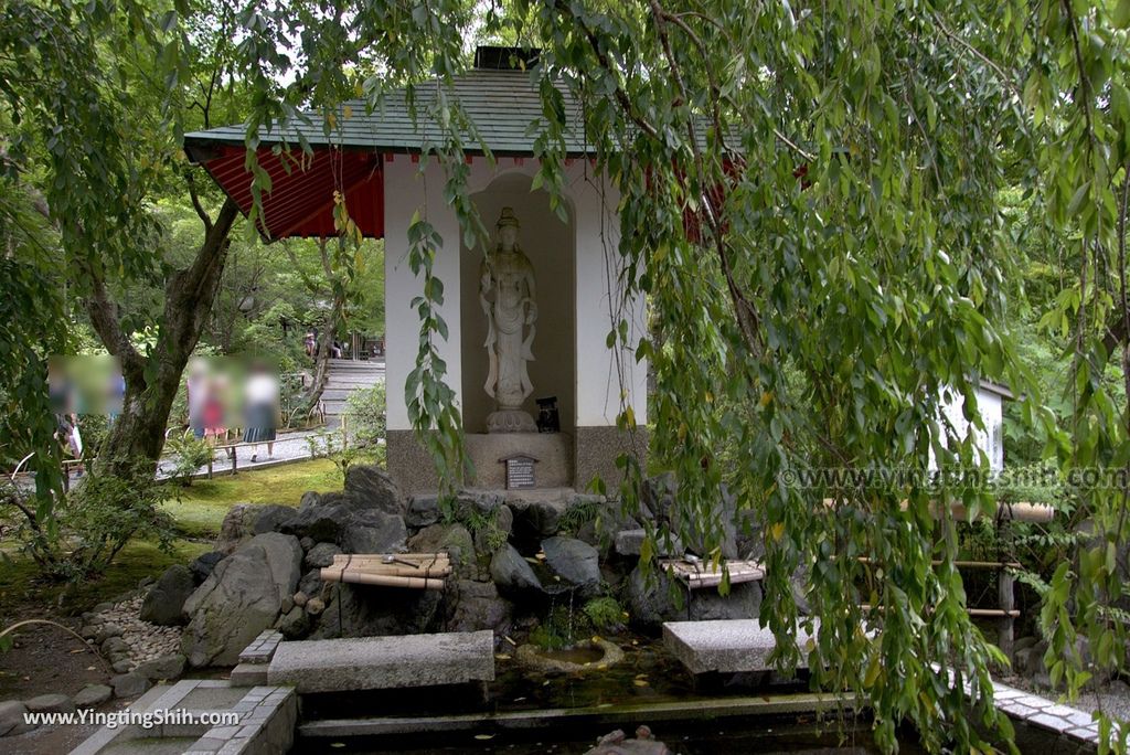 YTS_YTS_20180711_Japan Tyoko Arashiyama Tenryu-ji Temple Sogenchi Garden 日本京都天龍寺／曹源池／世界文化遺產／嵐山179_3A5A5283.jpg