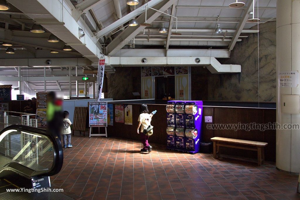 YTS_YTS_20180719_Japan Wakayama Kuroshio Market日本和歌山黒潮市場／金槍魚解體秀031_3A5A3774.jpg