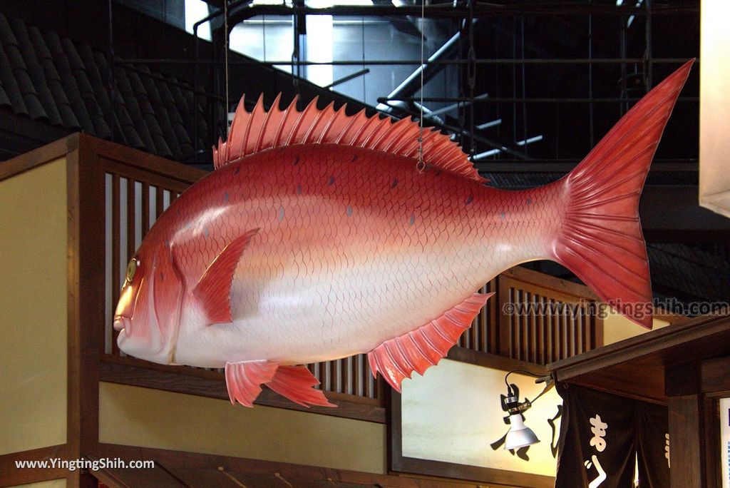 YTS_YTS_20180719_Japan Wakayama Kuroshio Market日本和歌山黒潮市場／金槍魚解體秀044_3A5A3675.jpg