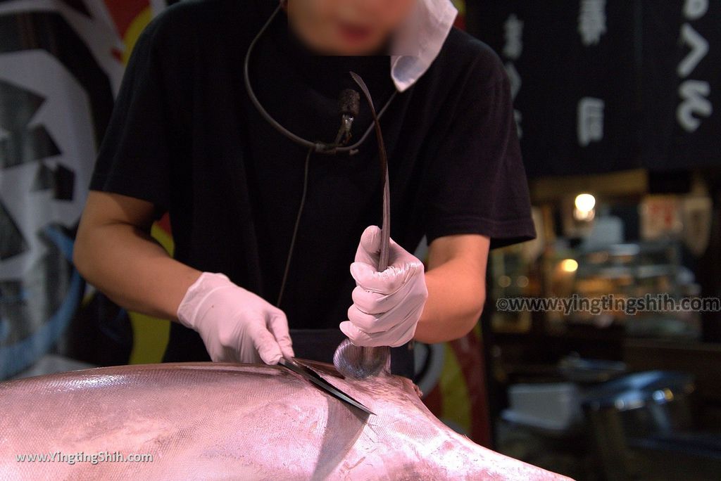 YTS_YTS_20180719_Japan Wakayama Kuroshio Market日本和歌山黒潮市場／金槍魚解體秀063_3A5A4222.jpg