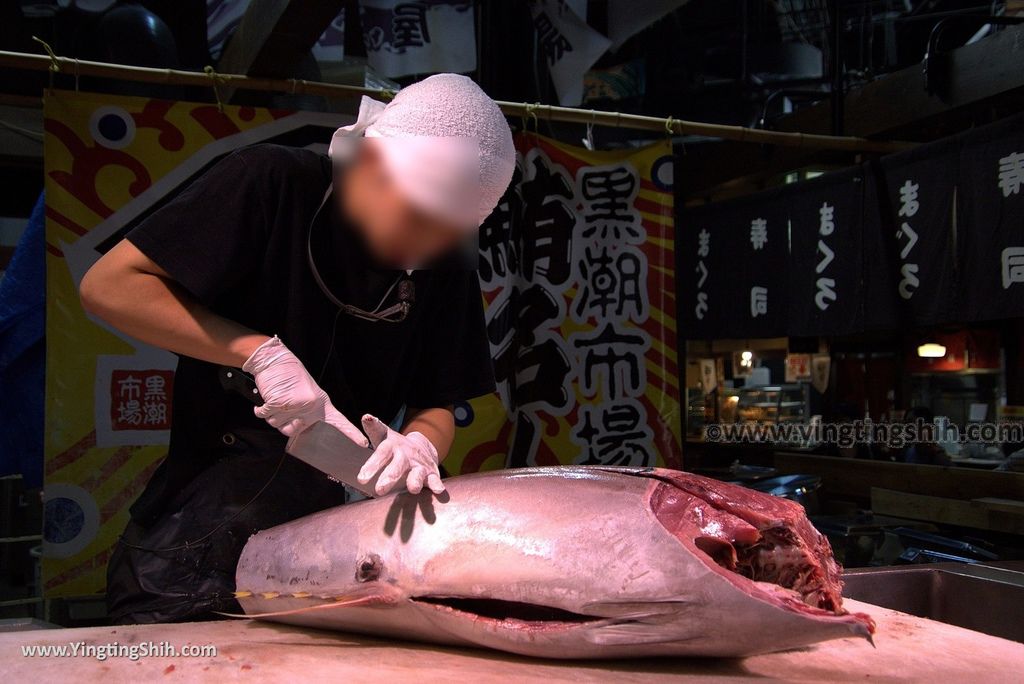 YTS_YTS_20180719_Japan Wakayama Kuroshio Market日本和歌山黒潮市場／金槍魚解體秀067_3A5A4323.jpg