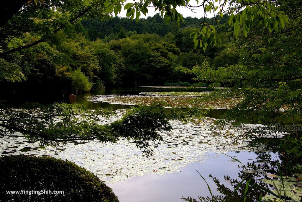 YTS_YTS_20180713_Japan Kyoto Ryoan-ji日本京都龍安寺／世界文化遺產／枯山水石庭024_3A5A9273.jpg