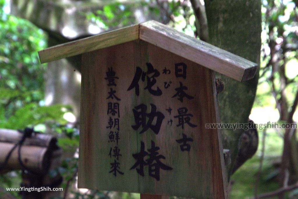 YTS_YTS_20180713_Japan Kyoto Ryoan-ji日本京都龍安寺／世界文化遺產／枯山水石庭056_3A5A9436.jpg