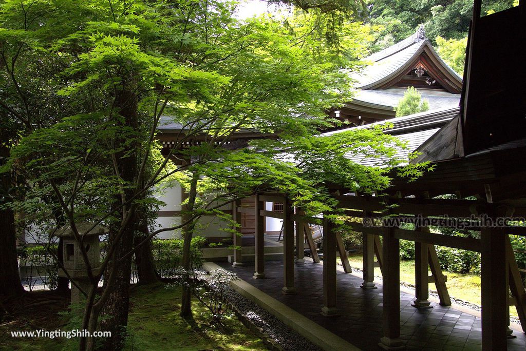 YTS_YTS_20180713_Japan Kyoto Ryoan-ji日本京都龍安寺／世界文化遺產／枯山水石庭063_3A5A9470.jpg