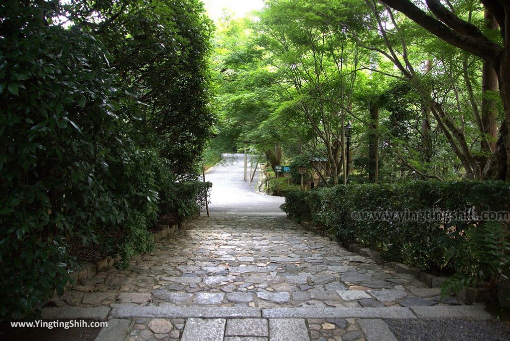 YTS_YTS_20180713_Japan Kyoto Ryoan-ji日本京都龍安寺／世界文化遺產／枯山水石庭080_3A5A9647.jpg