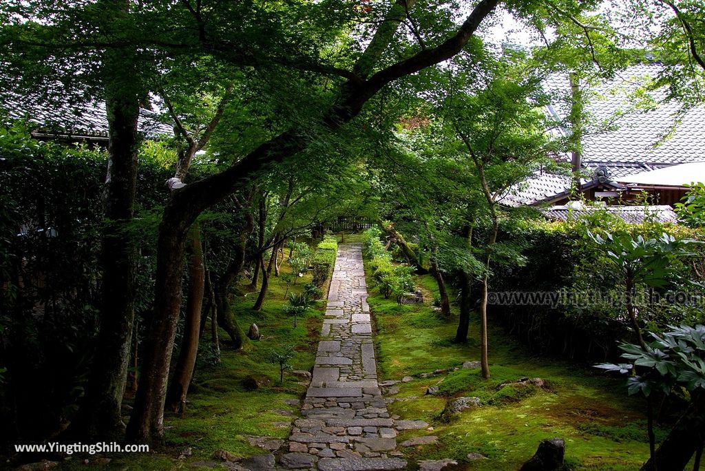 YTS_YTS_20180713_Japan Kyoto Ryoan-ji日本京都龍安寺／世界文化遺產／枯山水石庭086_3A5A9681.jpg