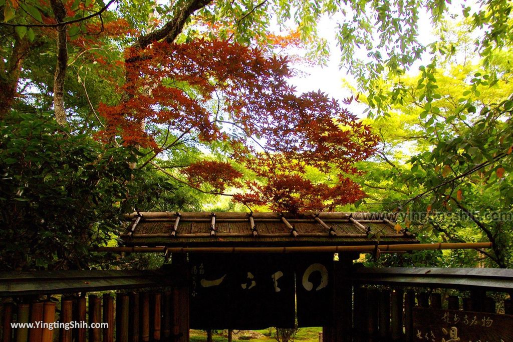 YTS_YTS_20180713_Japan Kyoto Ryoan-ji日本京都龍安寺／世界文化遺產／枯山水石庭106_3A5A9948.jpg