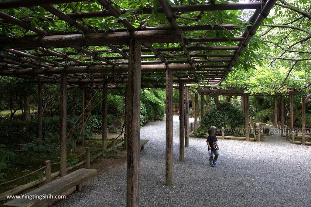 YTS_YTS_20180713_Japan Kyoto Ryoan-ji日本京都龍安寺／世界文化遺產／枯山水石庭108_3A5A9981.jpg