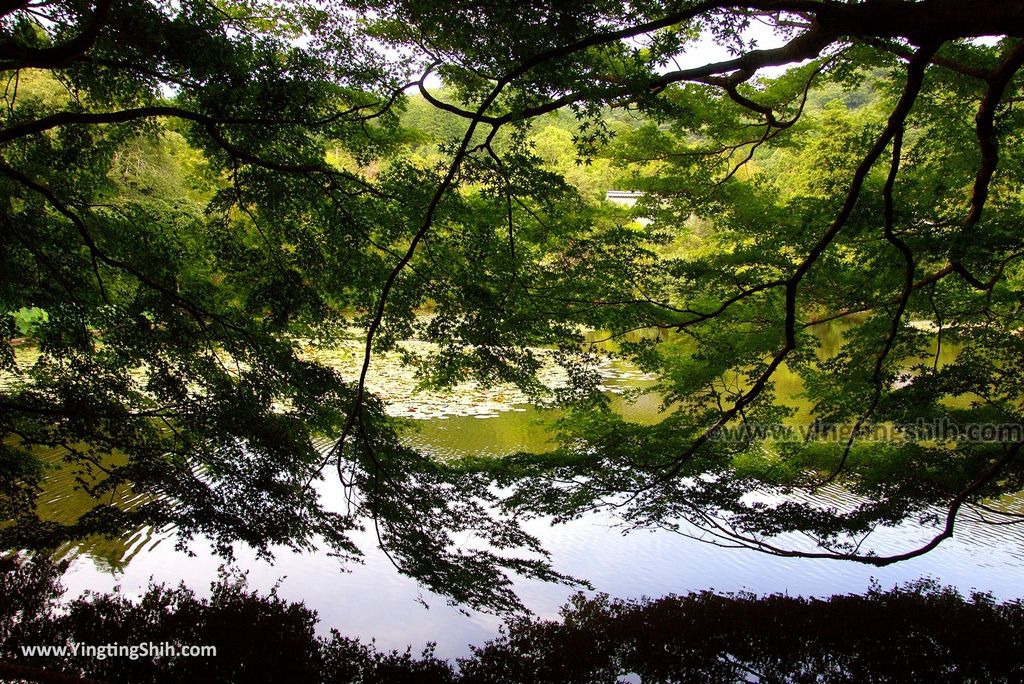 YTS_YTS_20180713_Japan Kyoto Ryoan-ji日本京都龍安寺／世界文化遺產／枯山水石庭110_3A5A0065.jpg