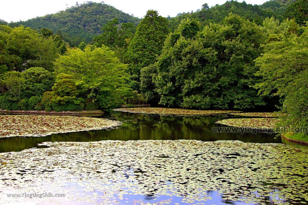 YTS_YTS_20180713_Japan Kyoto Ryoan-ji日本京都龍安寺／世界文化遺產／枯山水石庭114_3A5A0204.jpg