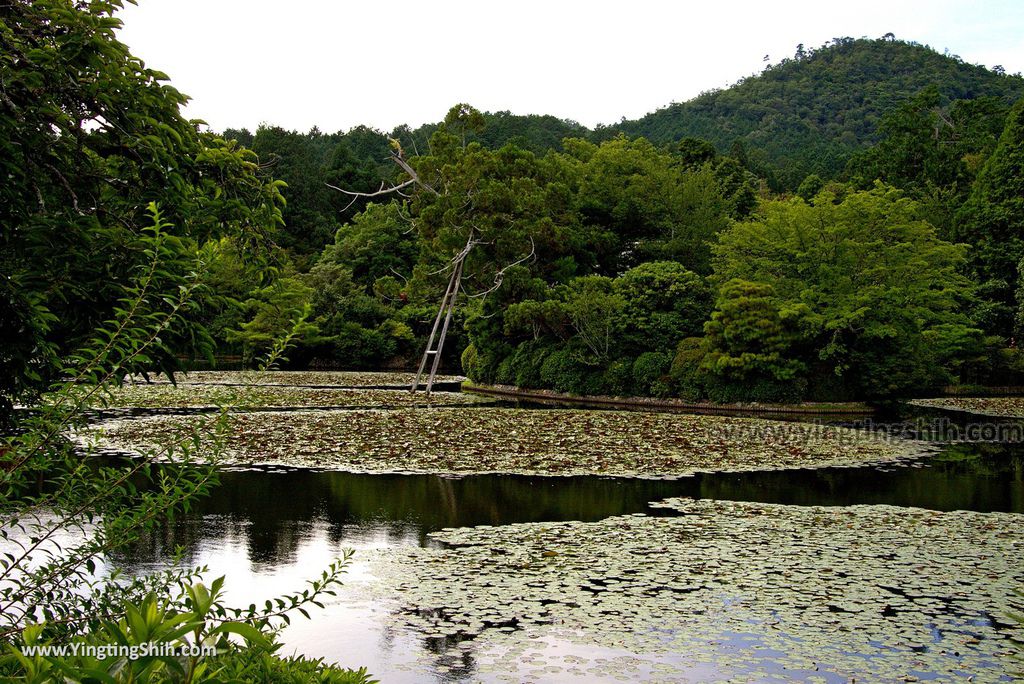 YTS_YTS_20180713_Japan Kyoto Ryoan-ji日本京都龍安寺／世界文化遺產／枯山水石庭116_3A5A0194.jpg