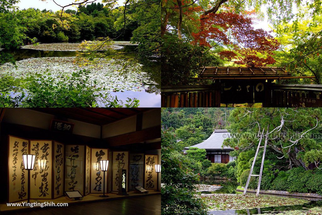 YTS_合成圖_YTS_20180713_Japan Kyoto Ryoan-ji日本京都龍安寺／世界文化遺產／枯山水石庭025_3A5A9297.jpg