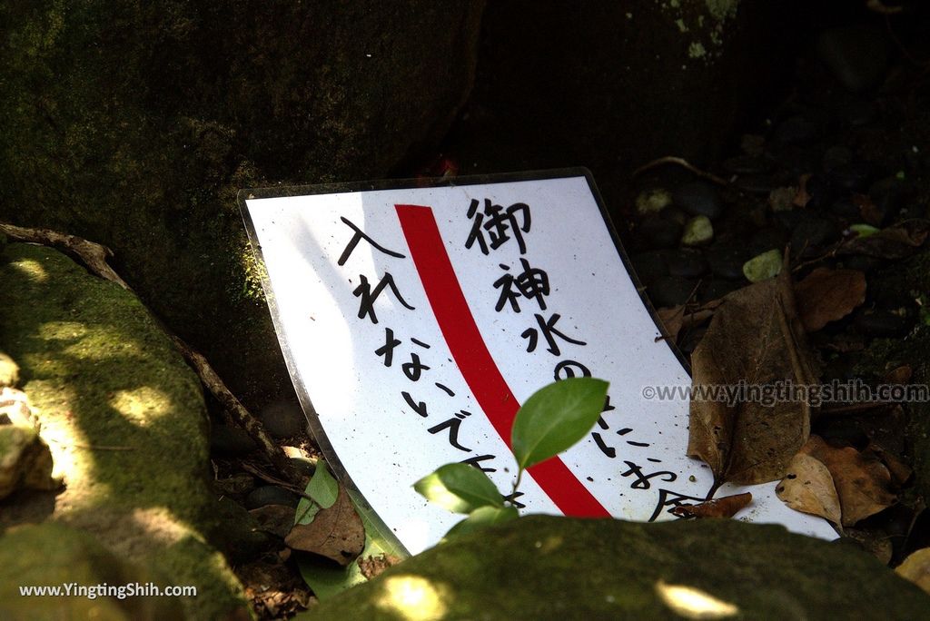 YTS_YTS_20180720 Wakayama Awashima Shrine日本和歌山淡嶋神社／雛形人偶／人形／雛流／女兒節娃娃078_3A5A6863.jpg