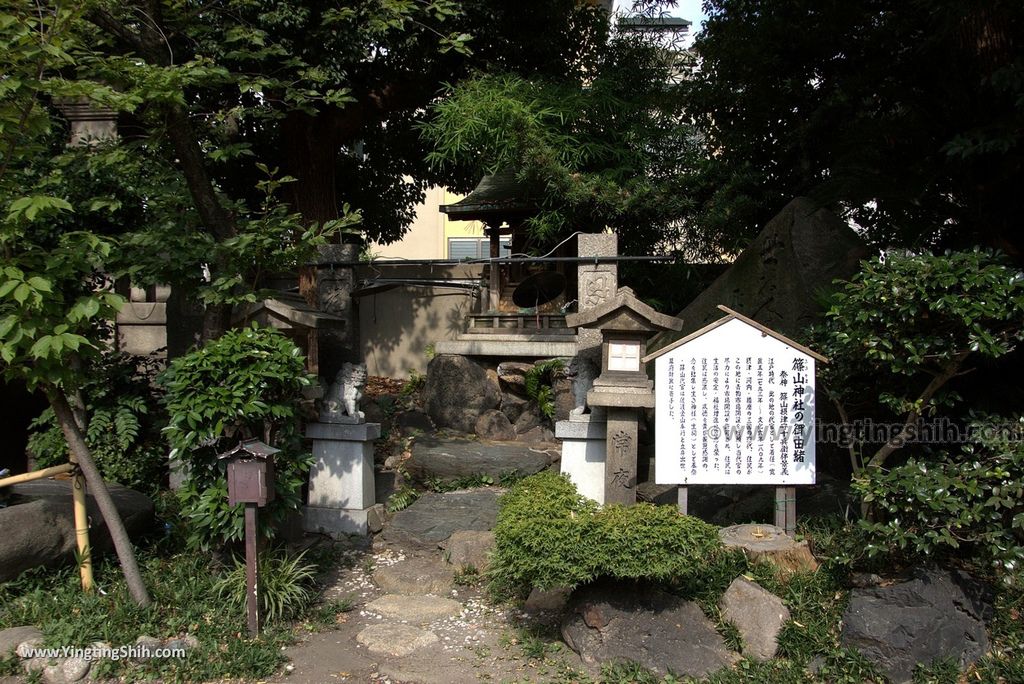 YTS_YTS_20180723_Japan Osaka Nambayasaka Shrine日本大阪難波八阪神社／大獅子神殿／獅子舞台058_3A5A2699.jpg