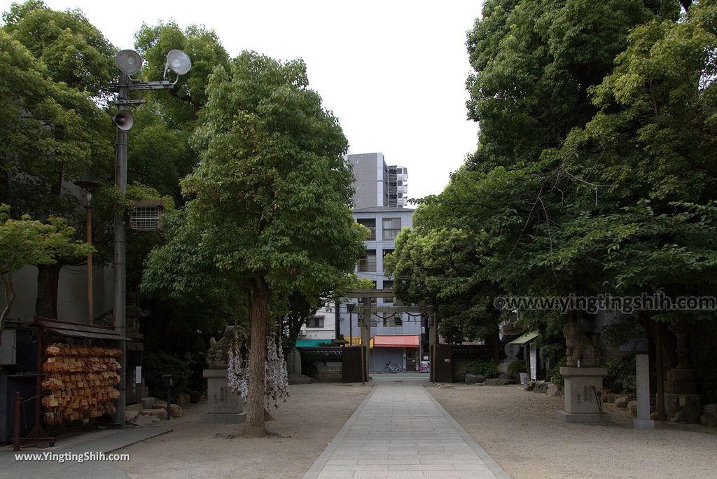 YTS_YTS_20180723_Japan Osaka Nambayasaka Shrine日本大阪難波八阪神社／大獅子神殿／獅子舞台076_3A5A2480.jpg