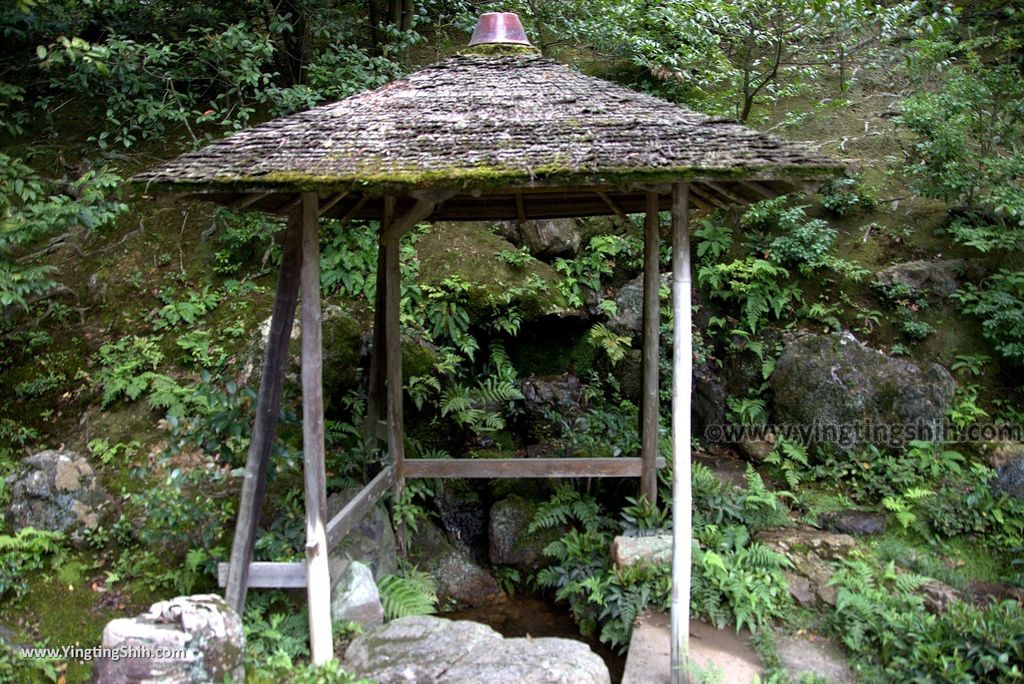 YTS_YTS_20180713_Japan Kyoto Kinkaku-ji 日本京都鹿苑寺／金閣寺／舍利殿／世界文化遺產093_3A5A7494.jpg