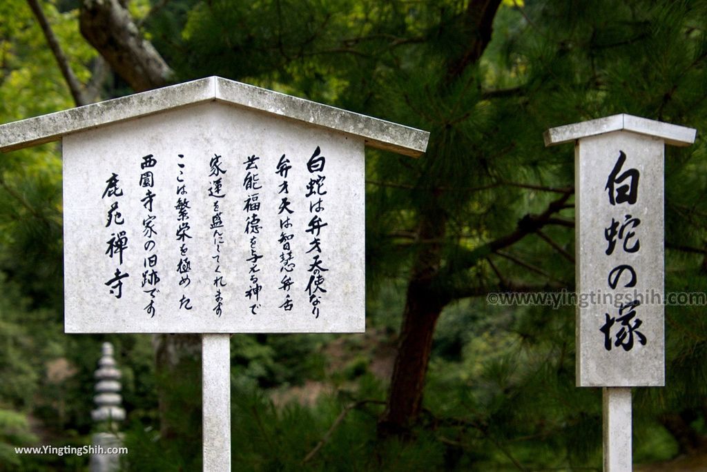 YTS_YTS_20180713_Japan Kyoto Kinkaku-ji 日本京都鹿苑寺／金閣寺／舍利殿／世界文化遺產106_3A5A7578.jpg