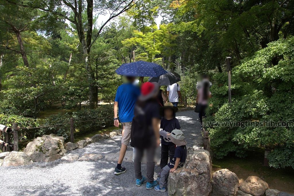 YTS_YTS_20180713_Japan Kyoto Kinkaku-ji 日本京都鹿苑寺／金閣寺／舍利殿／世界文化遺產113_3A5A7634.jpg