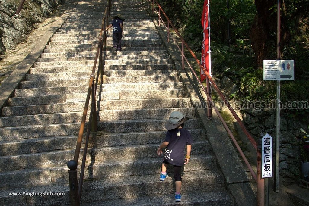 YTS_YTS_20180718_Japan Wakayama Kimiidera日本和歌山紀三井寺／日本最大木造立像／大千手十一面觀音073_3A5A7703.jpg